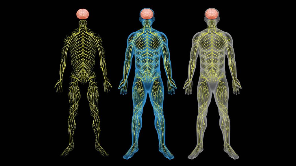 Sympathetic Nerve Blocks in Phoenix