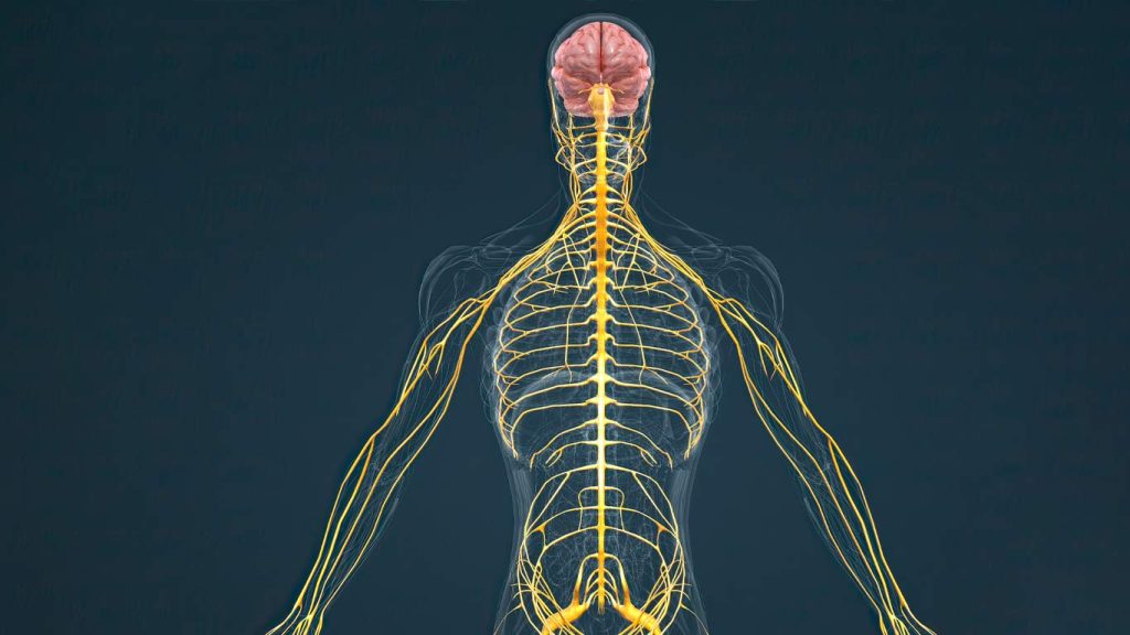 Peripheral Nerve Stimulation (PNS) in Phoenix